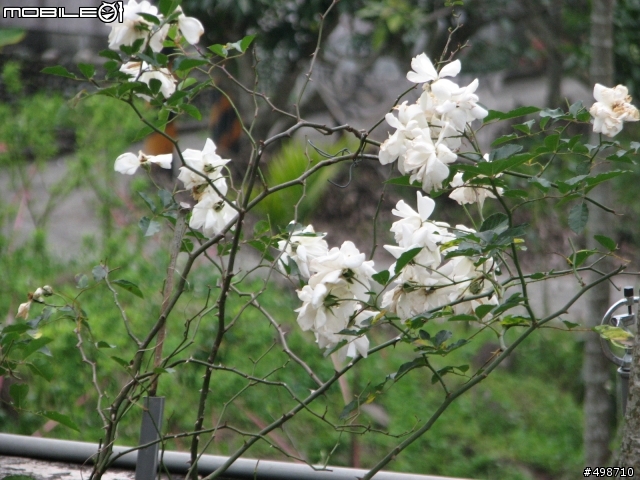2011/0213 高雄~娜瑪夏~現況!~