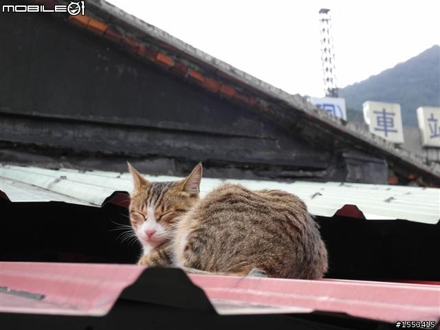 猴硐&山城九份歷史一日遊