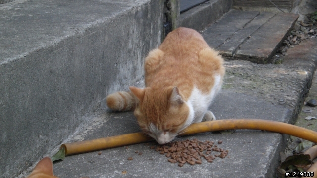 猴硐和東北角山區二日遊(文長慎入