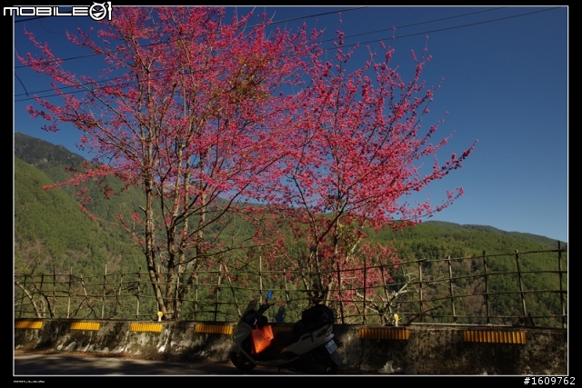 2011.02.03/04 今夜 白馬不坐王子,搭載旅人 目標合歡山 出發~(文多圖又多)