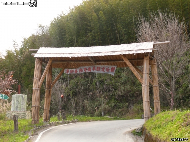 【圖文分享】年初六新竹深山(錦屏、秀巒、司馬庫斯)熱血沸騰遨遊