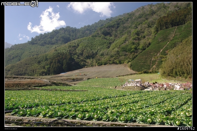 2011.02.03/04 今夜 白馬不坐王子,搭載旅人 目標合歡山 出發~(文多圖又多)