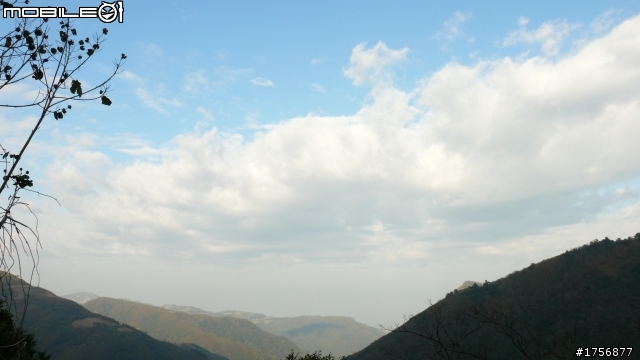 【圖文分享】年初六新竹深山(錦屏、秀巒、司馬庫斯)熱血沸騰遨遊