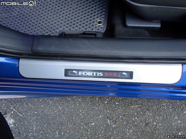 Fortis勁化版小藍之小小~小進化 !