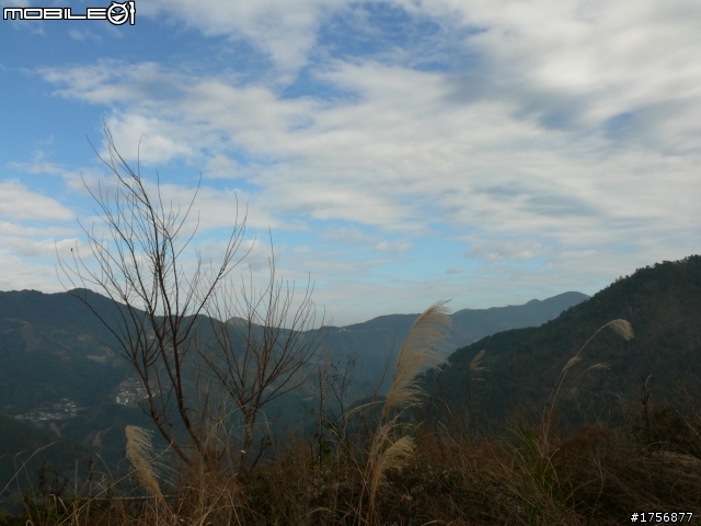 【圖文分享】年初六新竹深山(錦屏、秀巒、司馬庫斯)熱血沸騰遨遊