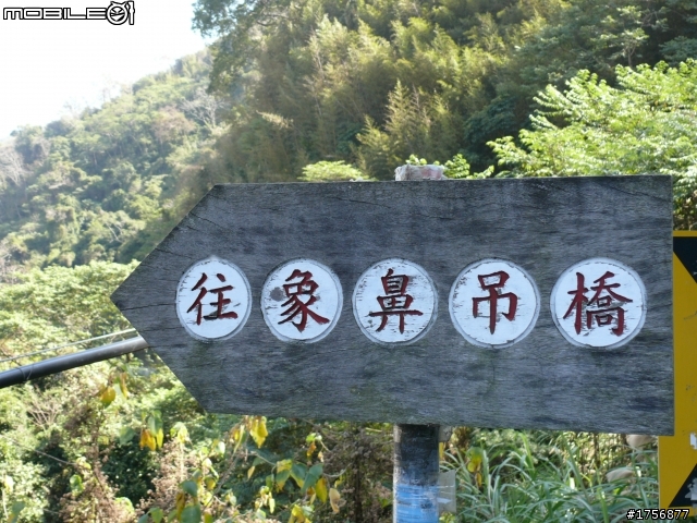 【圖文分享】年初五苗栗山路(天狗、象鼻、達觀)熱血奔騰遨遊