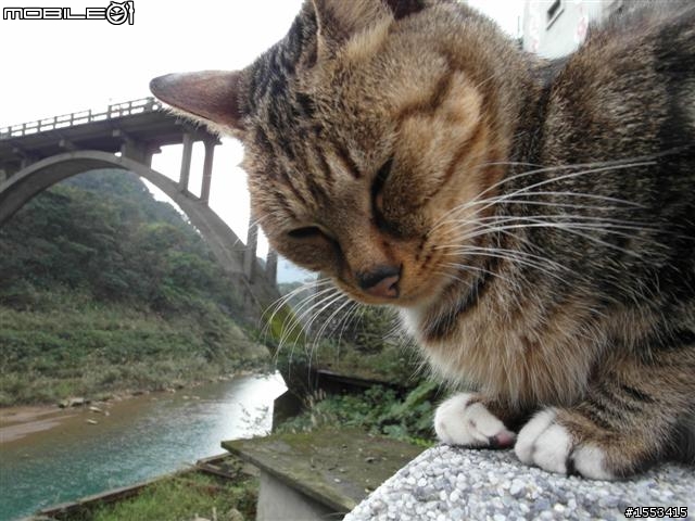 猴硐&山城九份歷史一日遊