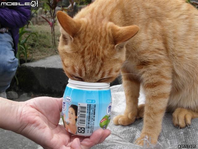 猴硐&山城九份歷史一日遊