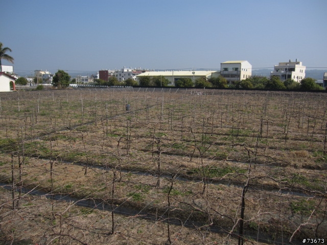 2011.2.3 一日雙樓