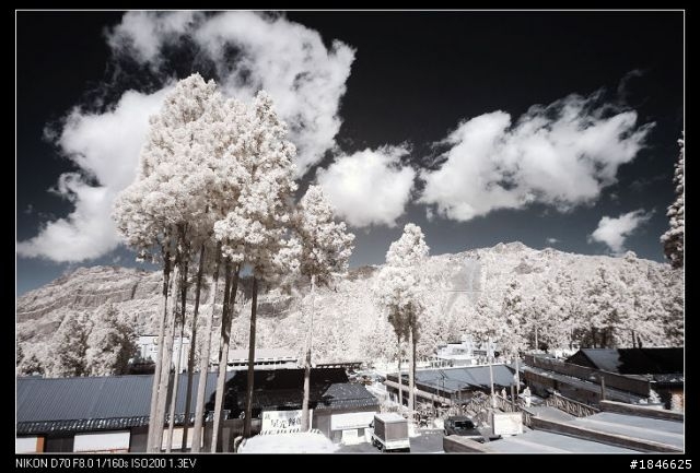 單車環島d70+d90~~