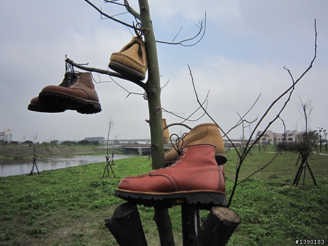 Red Wing - 891 & 另外兩雙改底分享~