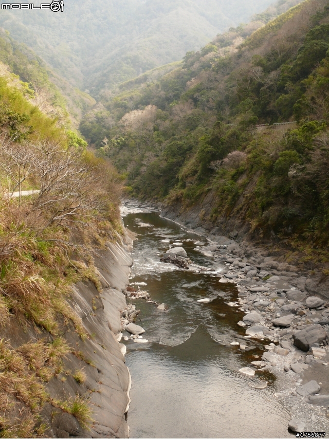 【圖文分享】年初六新竹深山(錦屏、秀巒、司馬庫斯)熱血沸騰遨遊