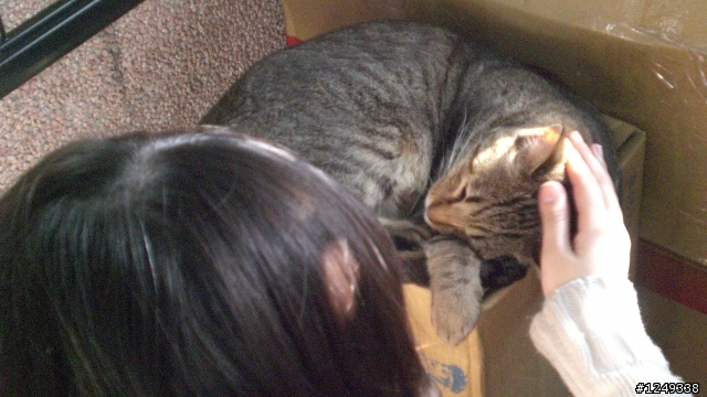 猴硐和東北角山區二日遊(文長慎入