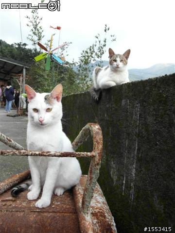 猴硐&山城九份歷史一日遊