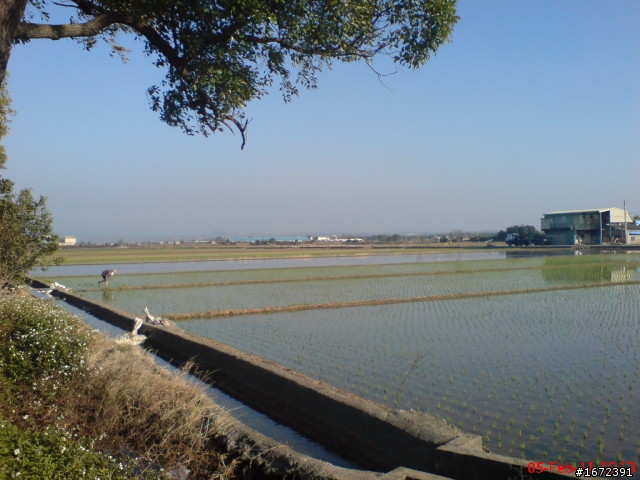 2011 超級艷陽天~人生第一次兩人機車旅遊~過年台北--台南~高雄~台中一路玩回家~ SH33配金牌150FI!