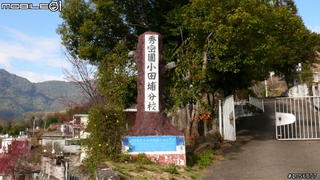 【圖文分享】年初六新竹深山(錦屏、秀巒、司馬庫斯)熱血沸騰遨遊
