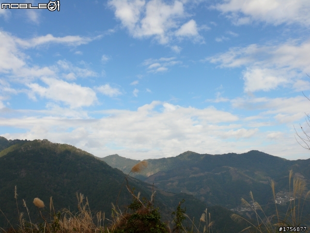 【圖文分享】年初六新竹深山(錦屏、秀巒、司馬庫斯)熱血沸騰遨遊