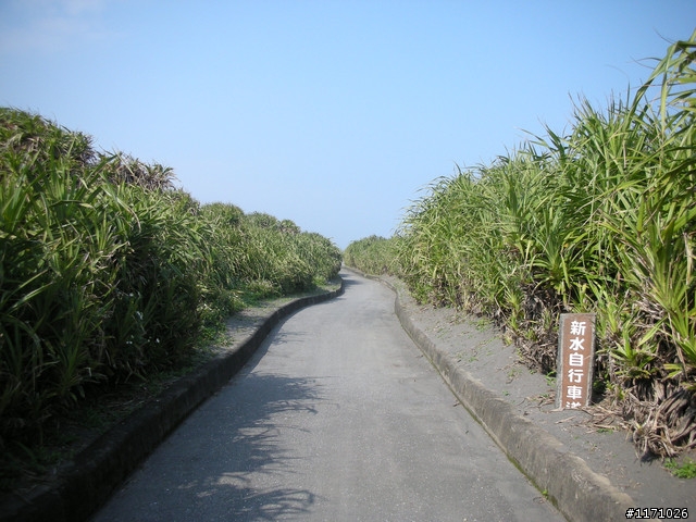 戀戀宜蘭山海情
