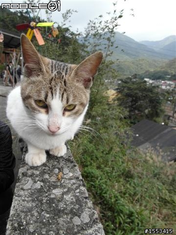 猴硐&山城九份歷史一日遊