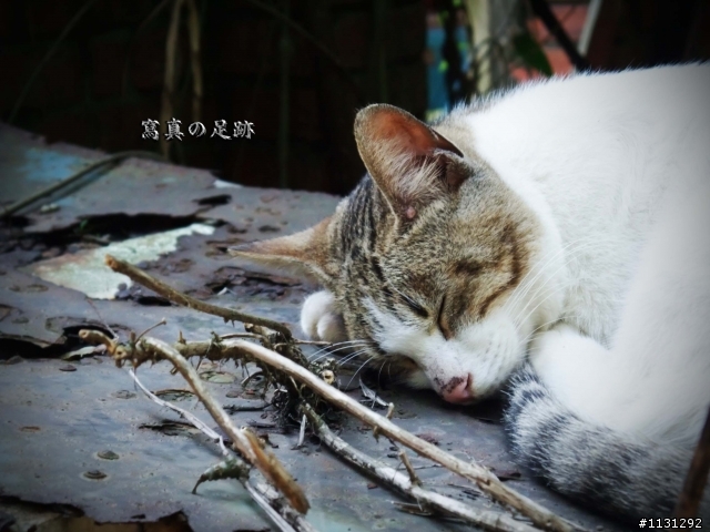 寫真於猴硐的足跡遊