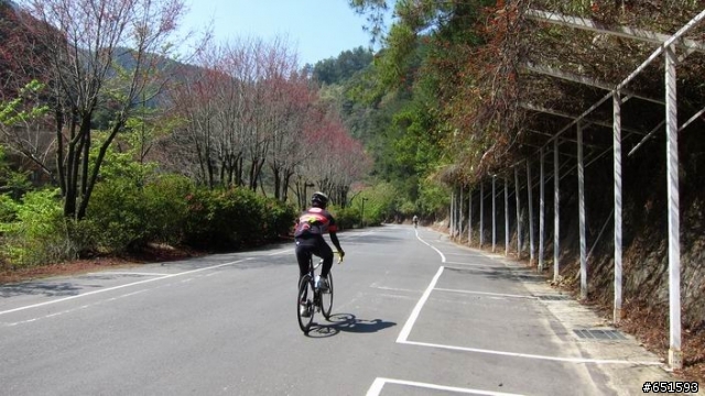 20110313南投杉林溪自行車挑戰賽