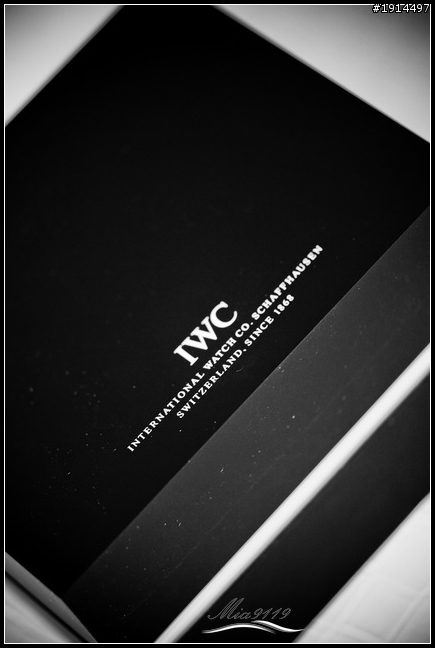 送老爸的禮物----素到爆炸的 IWC Portofino IW3563-06