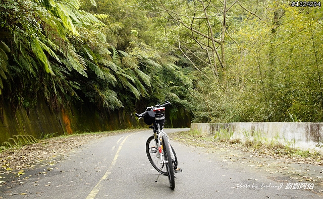 保庇 保庇 保庇 噢,東滿步道摸黑歷險記(20110223)