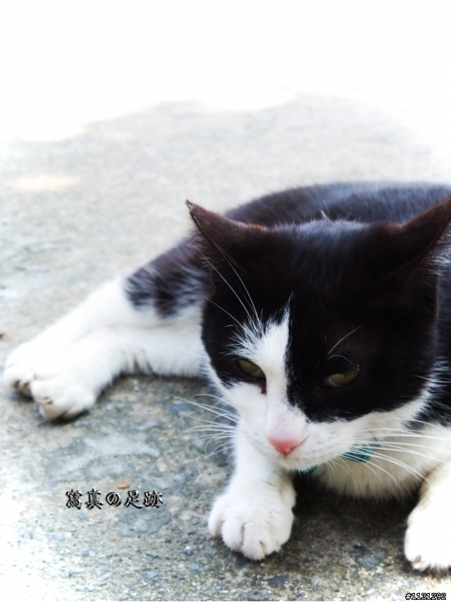 寫真於猴硐的足跡遊