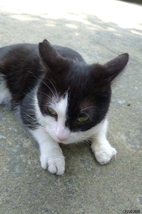 寫真於猴硐的足跡遊
