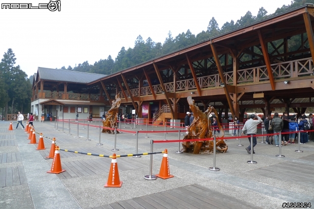 阿里山賞櫻自由行