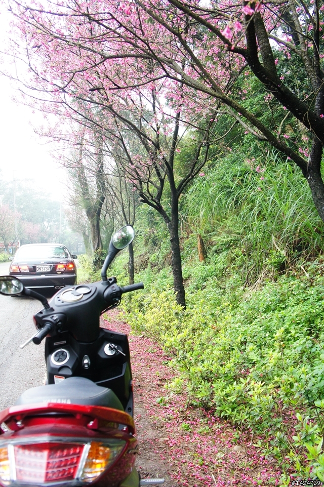 情深深雨濛濛之女王硬來~~~