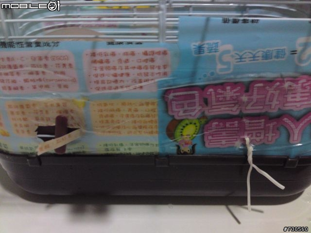 窮學生沒錢買新籠,只好來個省錢鼠鼠家大改造~~