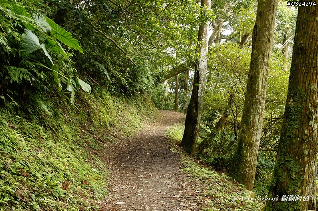保庇 保庇 保庇 噢,東滿步道摸黑歷險記(20110223)