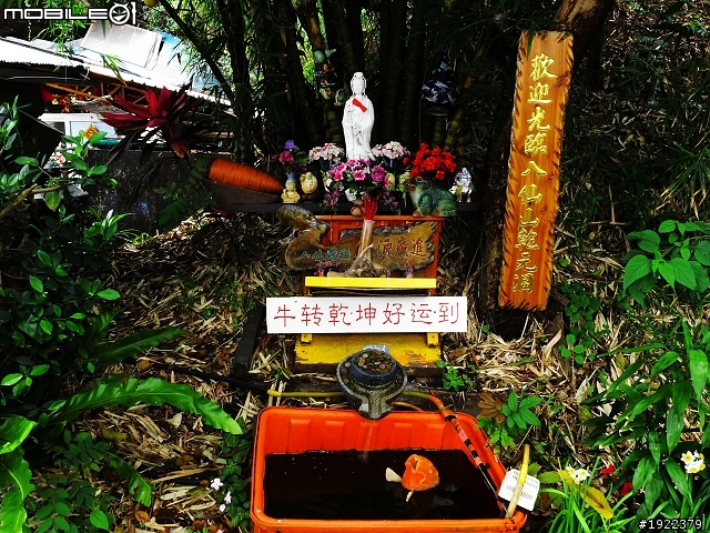 2011年3/2~3/8七天六夜單人環島去(已全部更新完)