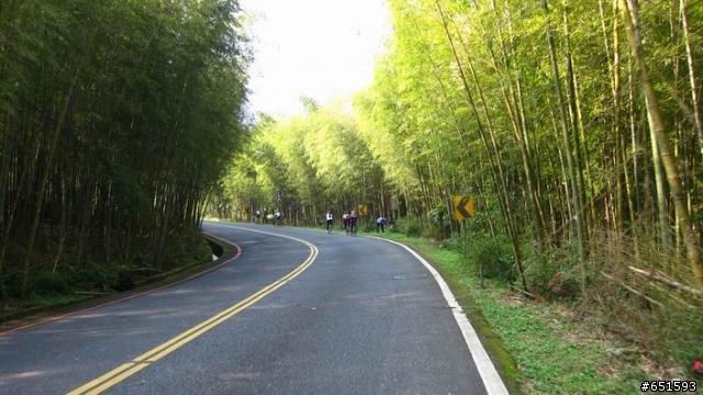 20110313南投杉林溪自行車挑戰賽