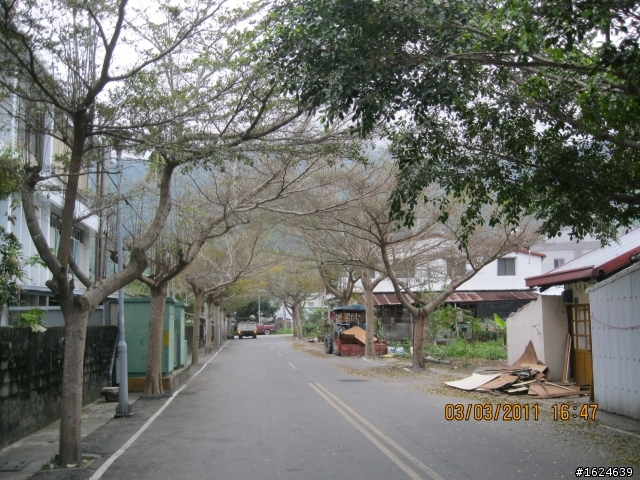 02/28-03/05 單車版不老騎士六天美麗寶島環島行----Day 4 (旭海-池上漫遊)