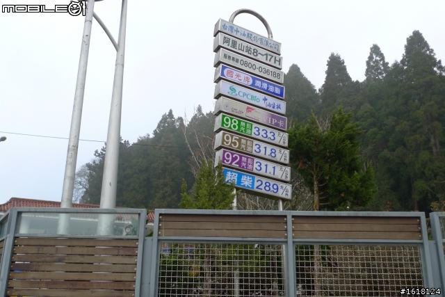 阿里山賞櫻自由行