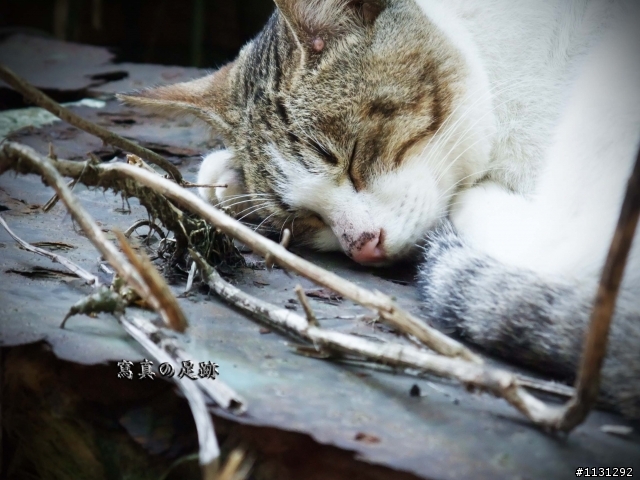 寫真於猴硐的足跡遊