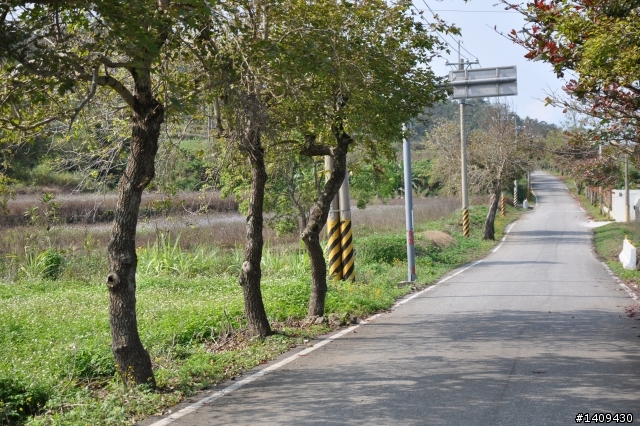 20110314花東縱谷193線道半程探路行
