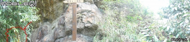登山步道的殘留物!