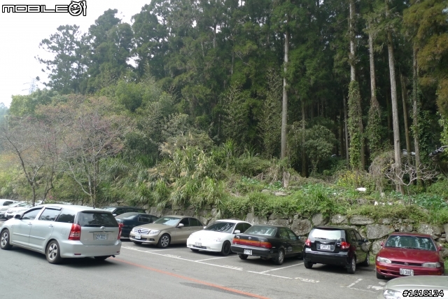 阿里山賞櫻自由行