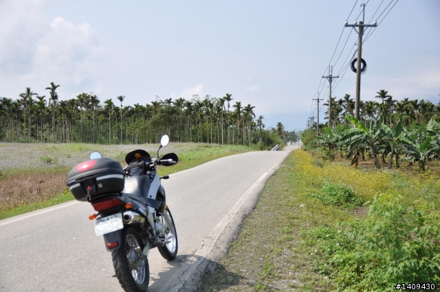 20110314花東縱谷193線道半程探路行