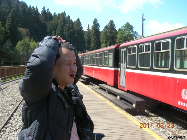3/23阿里山與檳榔..驚喜賞櫻記~~~!!(開車喔)