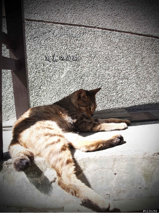 寫真於猴硐的足跡遊