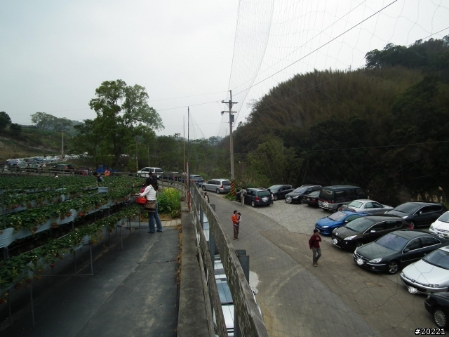 2011年0305開春獅群大湖草莓遊(照片區)~到家報平安