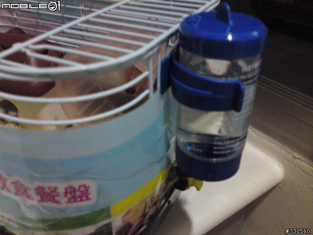 窮學生沒錢買新籠,只好來個省錢鼠鼠家大改造~~