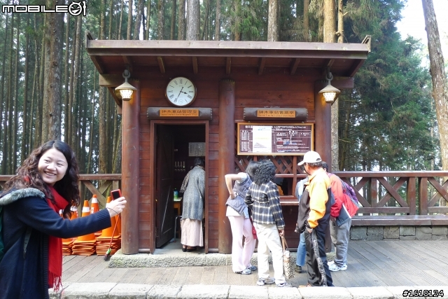 阿里山賞櫻自由行