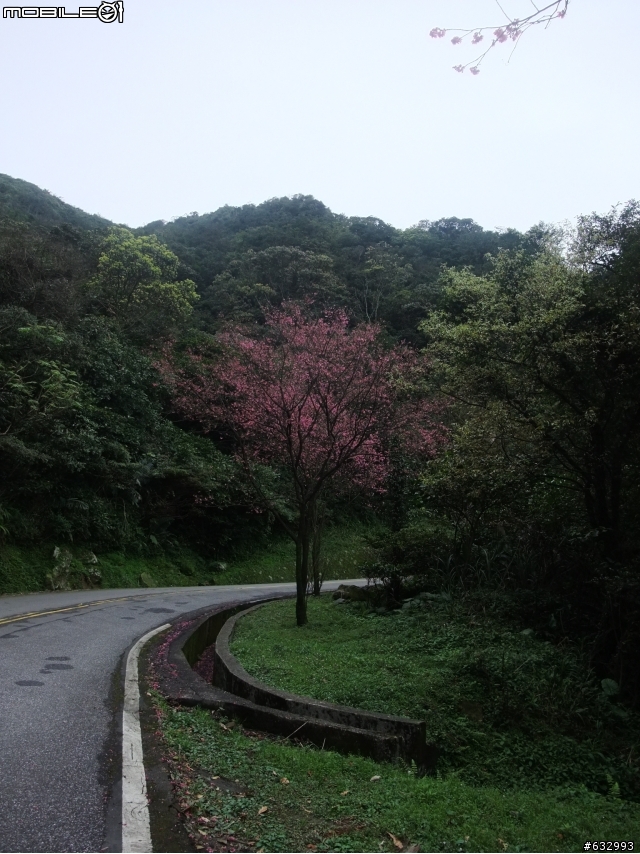 20110306_台二丙線->不厭亭霧海行