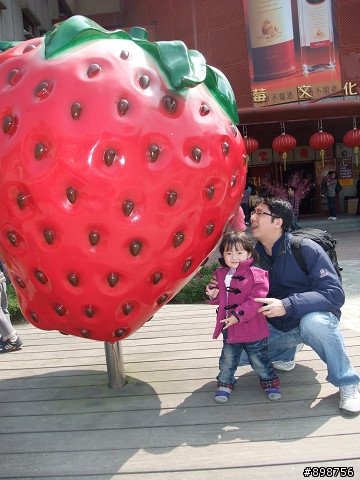 2011/2/26~3/2-五天四夜-逆時針-兩大一小-G4-125 腰斷掉之夾心餅乾環島行