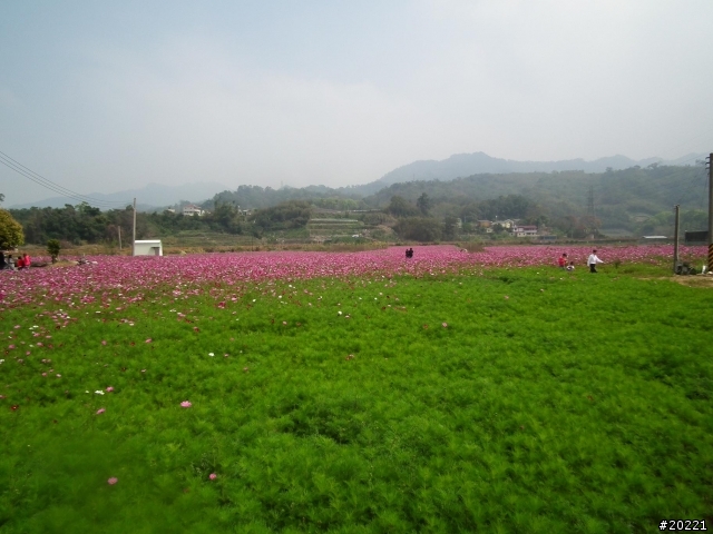 2011年0305開春獅群大湖草莓遊(照片區)~到家報平安